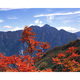 紅葉と針ノ木岳/立山