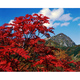 紅葉と奥大日/立山