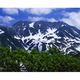 新緑と立山