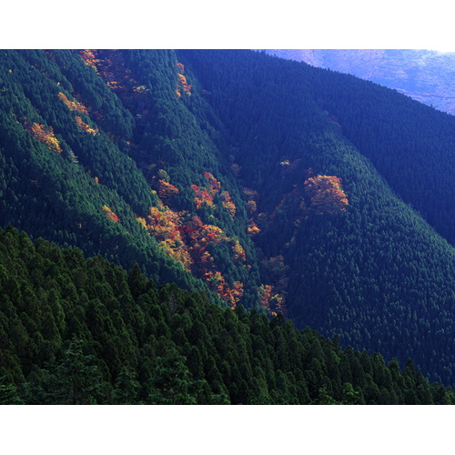 奥千丈の秋 / 十津川村