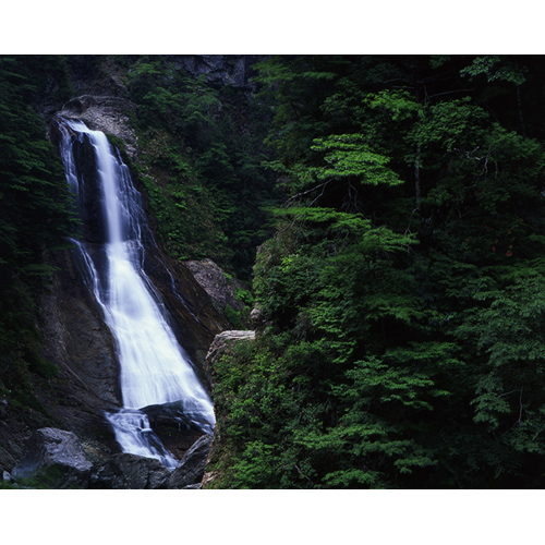 新緑の光滝/大杉谷溪谷