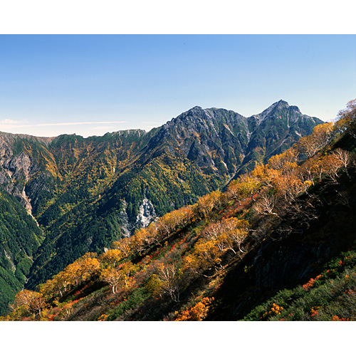 黄葉と針ノ木岳/立山