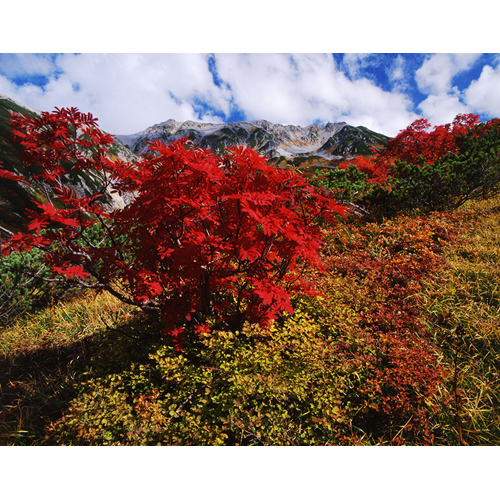 紅葉の立山