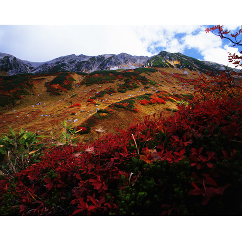 紅葉の立山