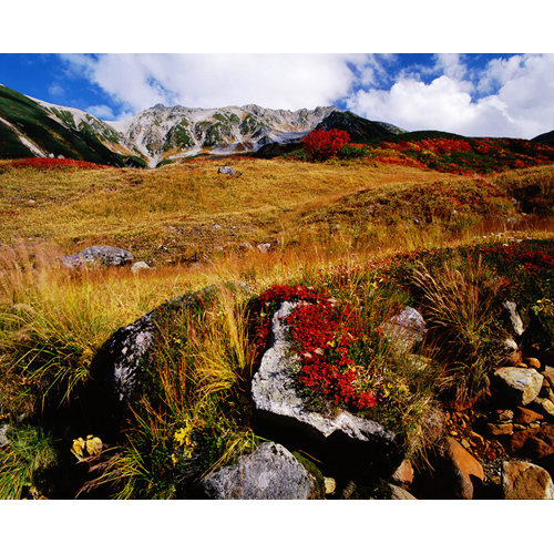 紅葉の立山