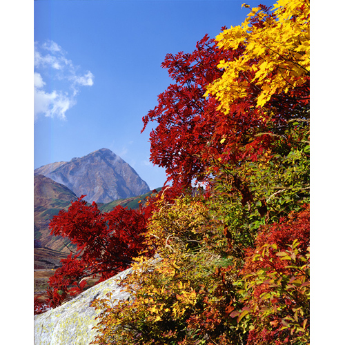 紅葉と奥大日/立山